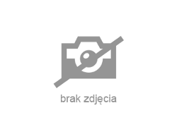 Fiat Doblo - zobacz ofertę